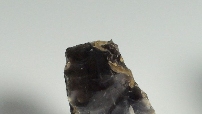 Foto: Horsens Museum